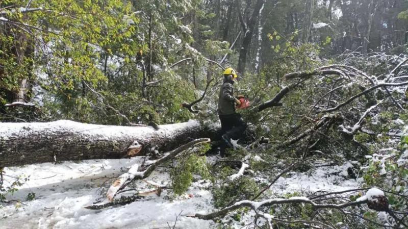 Estado de los caminos y senderos del Parque Nacional Nahuel Huapi