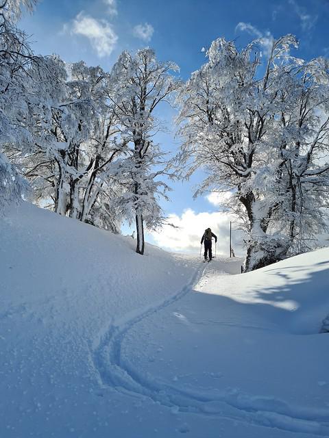 Invierno en Bariloche 