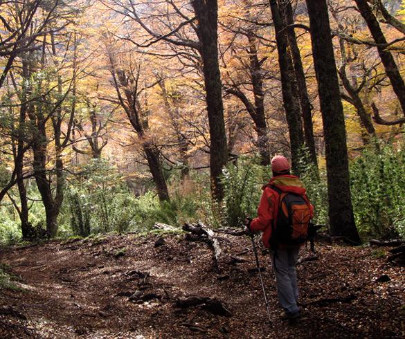 Trekking - Aventura - Bariloche 