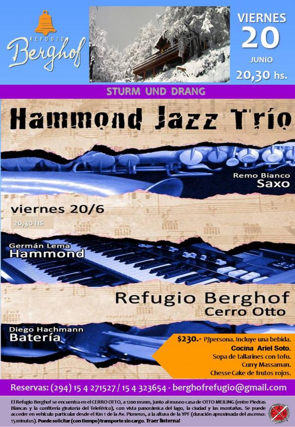 &#147;Sturm und Drang&#148; HAMMOND JAZZ TRIO. 