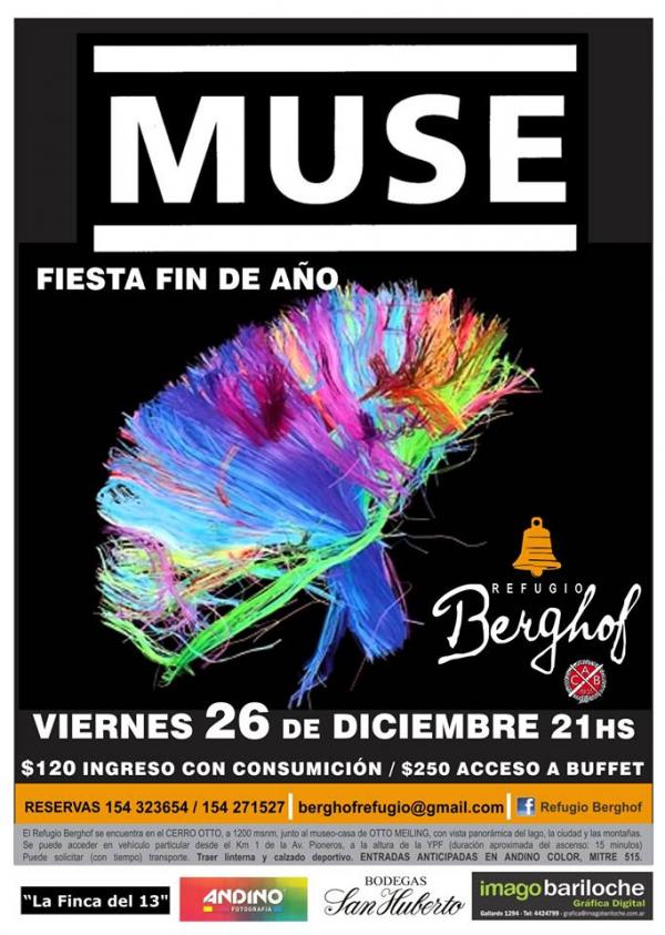 Fiesta MUSE.