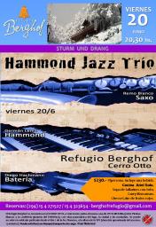 Sturm und Drang HAMMOND JAZZ TRIO. 