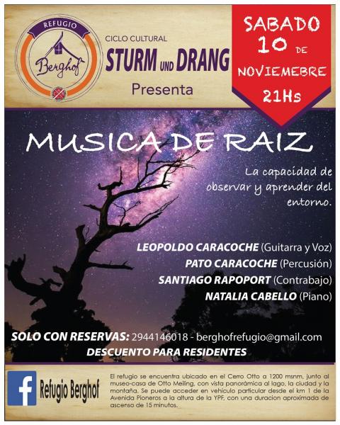 Ciclo Sturm und Drang: 'M&uacute;sica de ra&iacute;z'