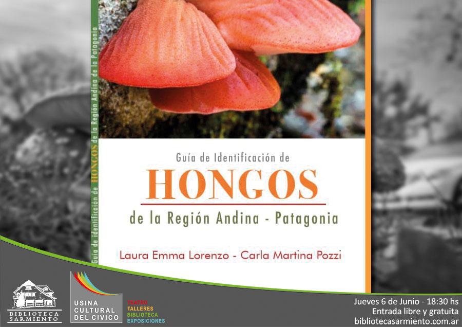 Presentaci&oacute;n de libro: Gu&iacute;a de identificaci&oacute;n de hongos de la regi&oacute;n andina-patagonia