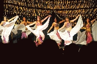 Danza Arabe: Balet Harem