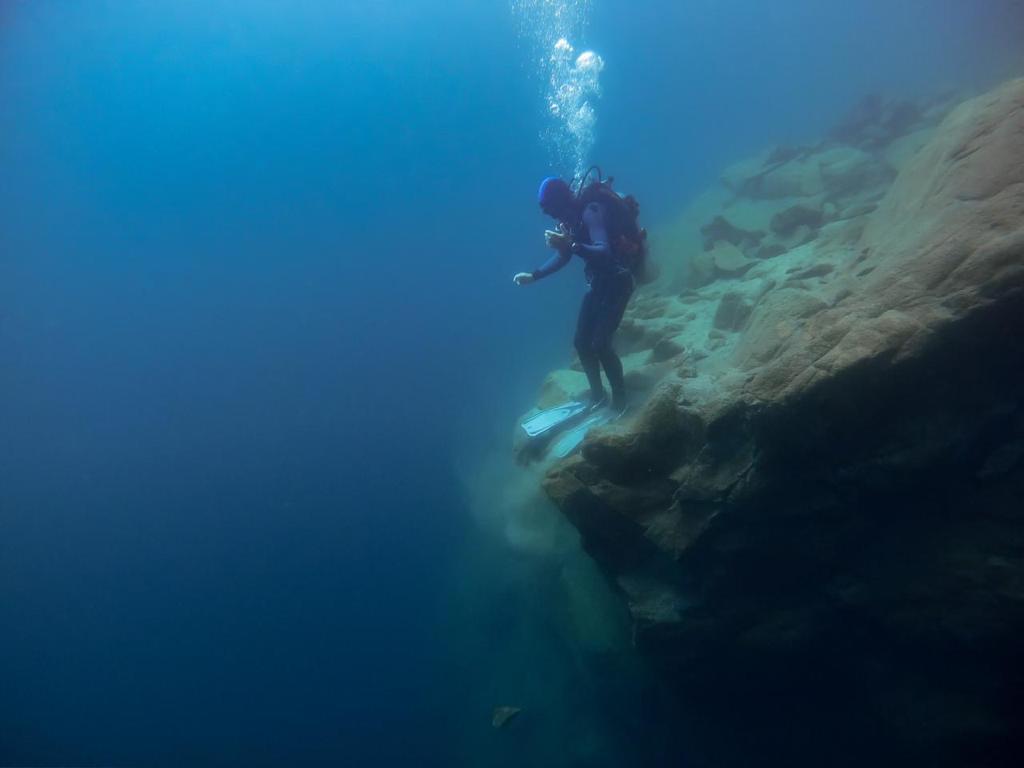 Buceo en Bariloche: La mejor manera de descubrir los lagos patag&oacute;nicos