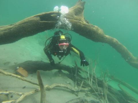 Buceo en la Patagonia Argentina