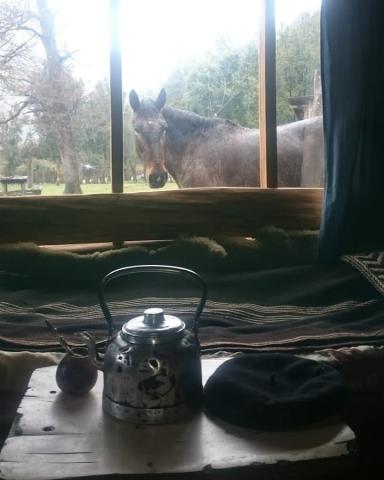 Casa de Campo en la Montaa: Tranquilidad nica, un Paraso en El Bolsn