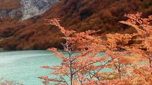 Lago Esmeralda: Excursiones guiadas ~ Cabalgatas ~Trekking ~ Casa de Campo en la Montaa El Bolsn