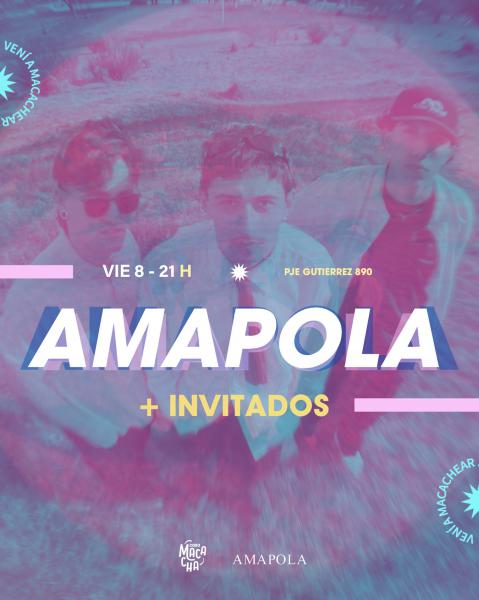  Amapola 