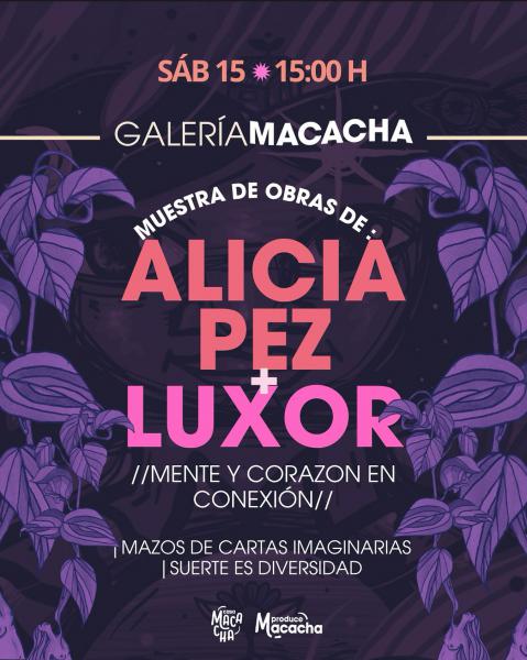 &iexcl;Llega una nueva edici&oacute;n de Galer&iacute;a Macacha!