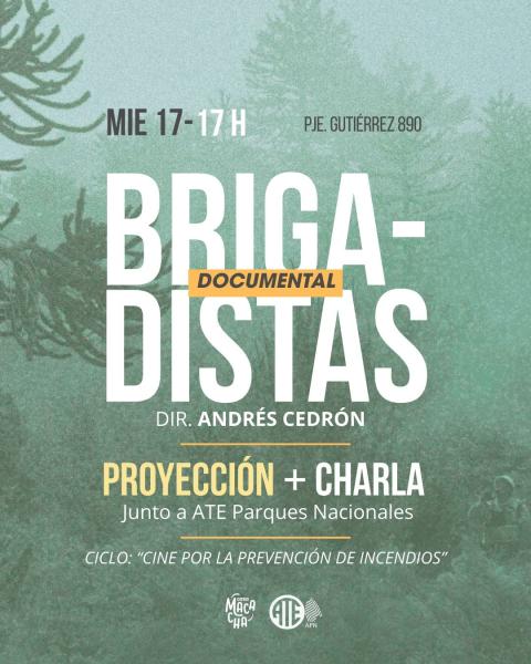 Proyecci&Atilde;&sup3;n de Brigadistas