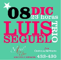 Show en vivo: Luis Seguel Trio