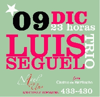 Show en vivo: Luis Seguel Trio