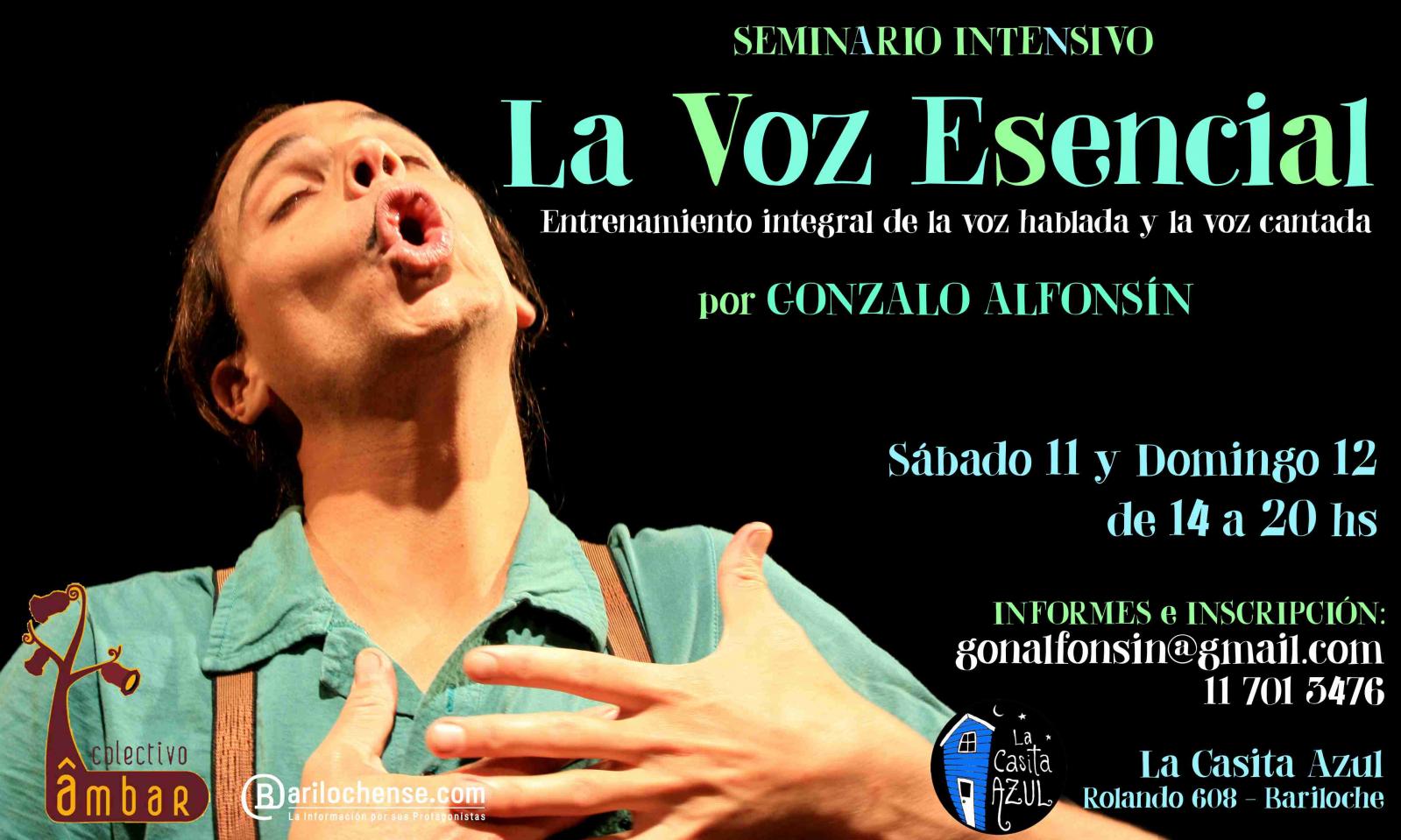 Seminario Intensivo "La Voz Esencial" - Entrenamiento Vocal Integrado - por Gonzalo Alfons&iacute;n