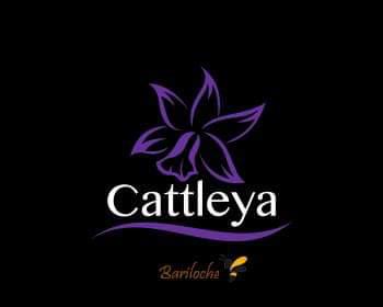 Cattleya Bosque 