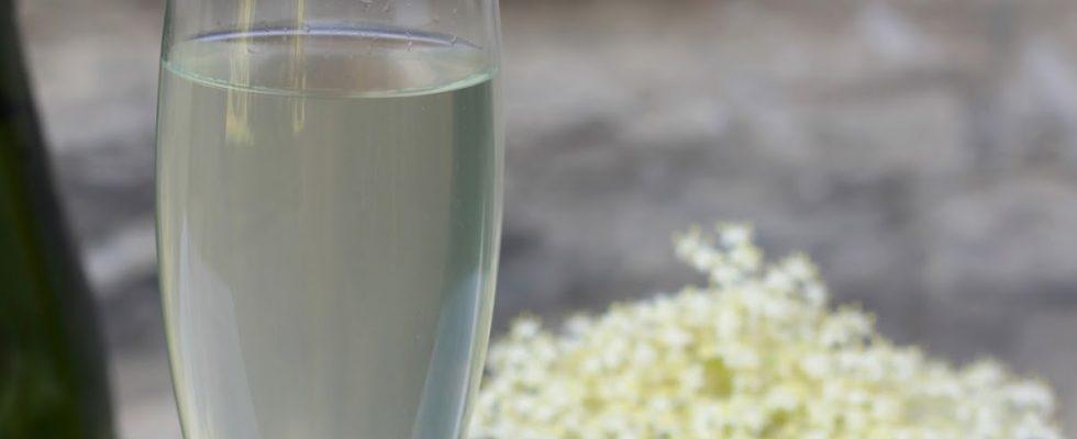 C&oacute;mo hacer champagne de sauco, receta original 