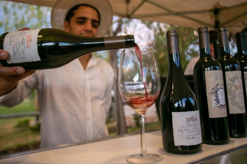 Cuenta regresiva para la feria itinerante de vinos m&aacute;s importante de Argentina