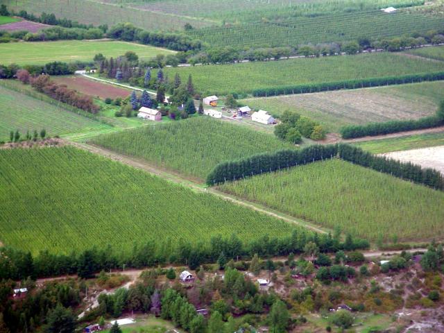 Vista aerea de las plantaciones