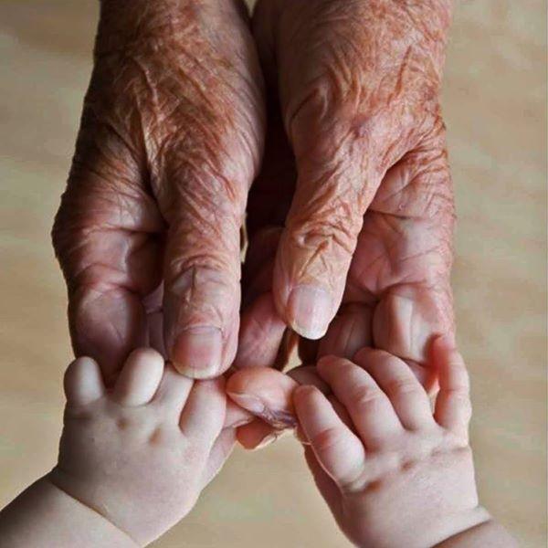 Servicios para el HOGAR