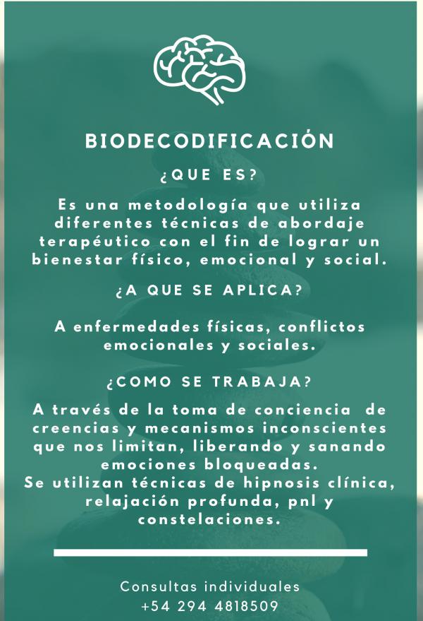 Biodecodificacin -  Bioneuroemocin