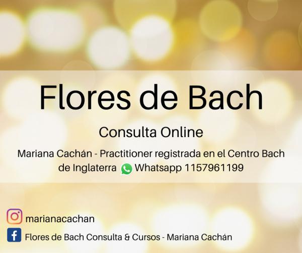 Consulta online de Flores de Bach