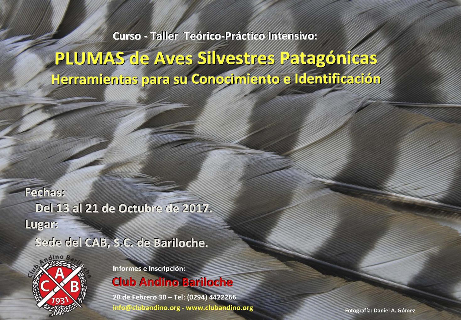 Curso: Plumas de Aves Silvestres Patag&oacute;nicas