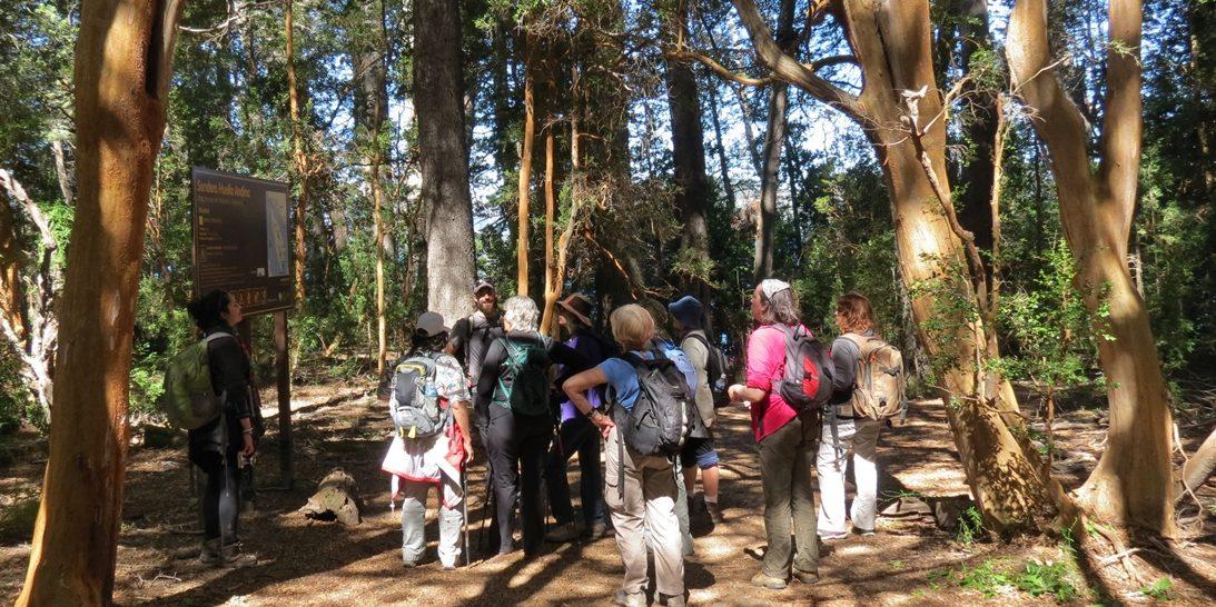 Recomendaciones al salir a la monta&ntilde;a