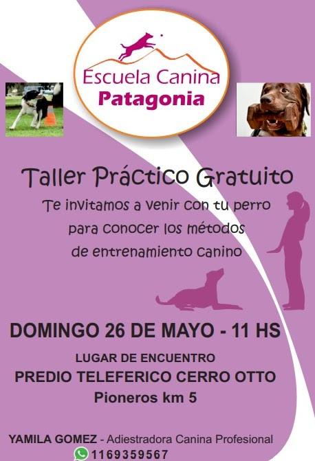 Taller gratuito de adiestramiento canino