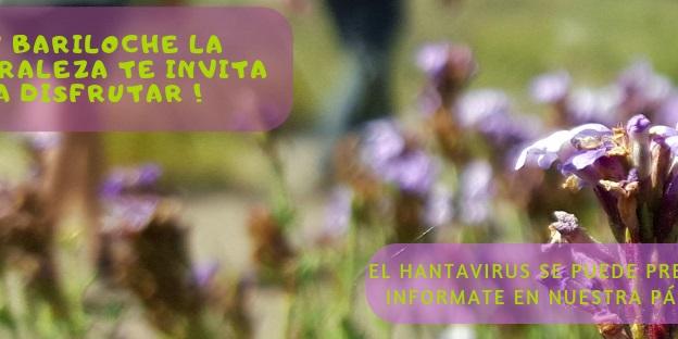 Prevenir es la consigna contra el hantavirus