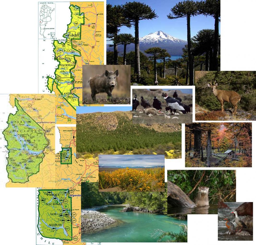 Seminario Ecotono: "Los Parques Nacionales de Patagonia Norte: perspectivas y desaf&iacute;os"