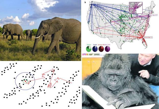 Seminario Ecotono: 'Movimiento animal: una aproximaci&oacute;n desde la Probabilidad' - viernes 15 de marzo