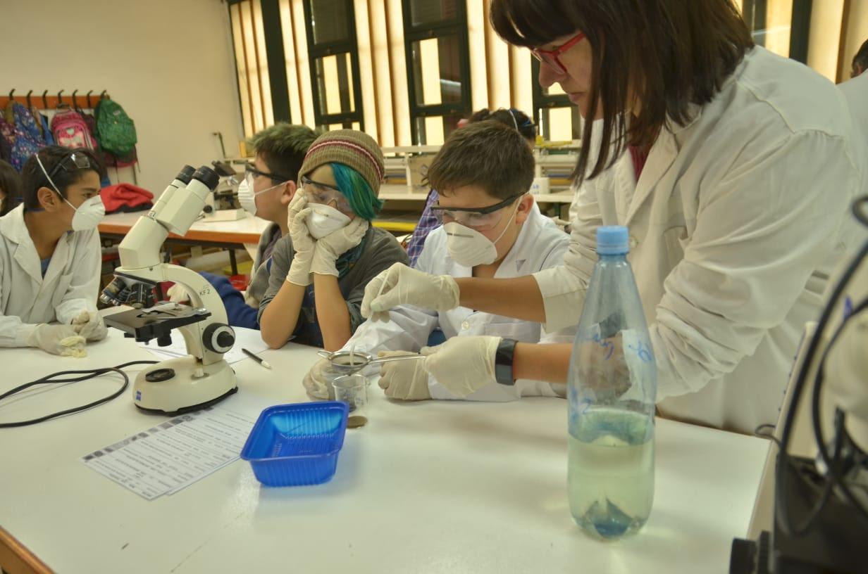 Ciencia Escolar, desde la Universidad a la Instancia Nacional de la Feria de Ciencias