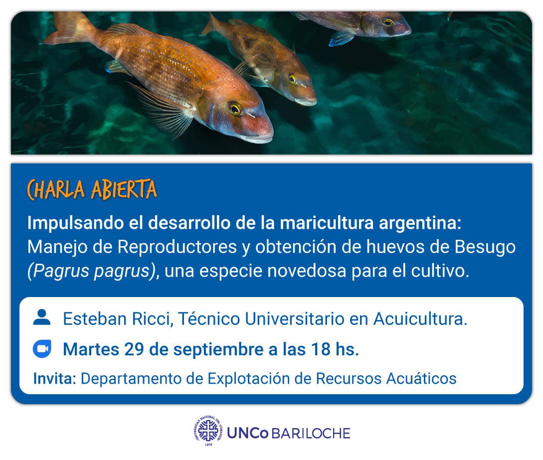 Charla abierta: impulsando el desarrollo de la maricultura argentina