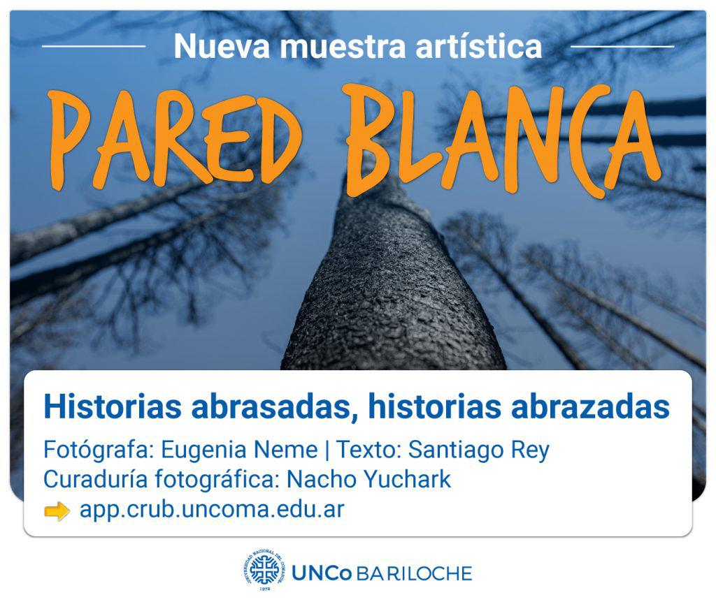 Nueva muestra art&iacute;stica en la Pared Blanca