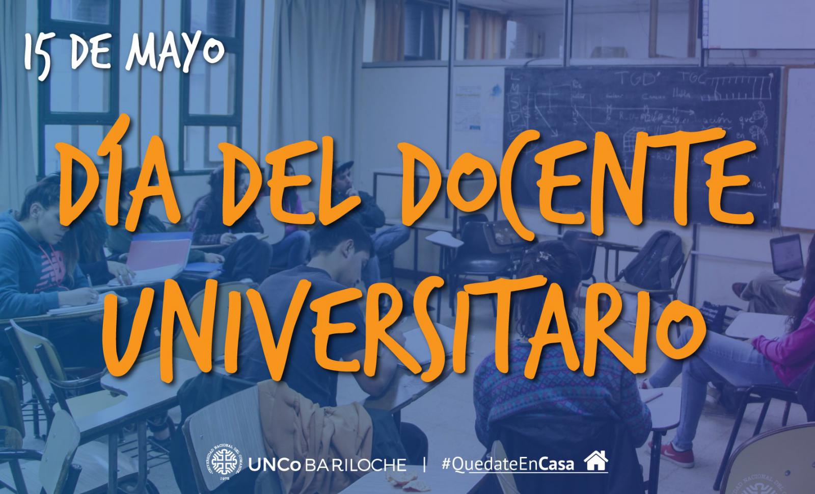 D&iacute;a del docente universitario