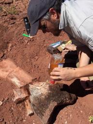 UNCo: Hallan restos prehist&oacute;ricos en el yacimiento Entre Lomas de Neuqu&eacute;n