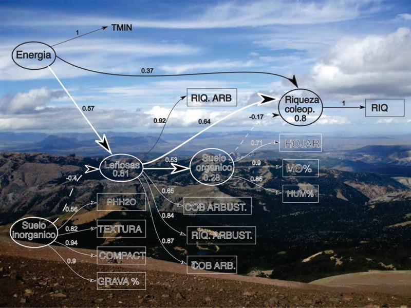 Seminario Ecotono: El arte del an&aacute;lisis de datos en ecolog&iacute;a observacional antes y despu&eacute;s del PLS-SEM