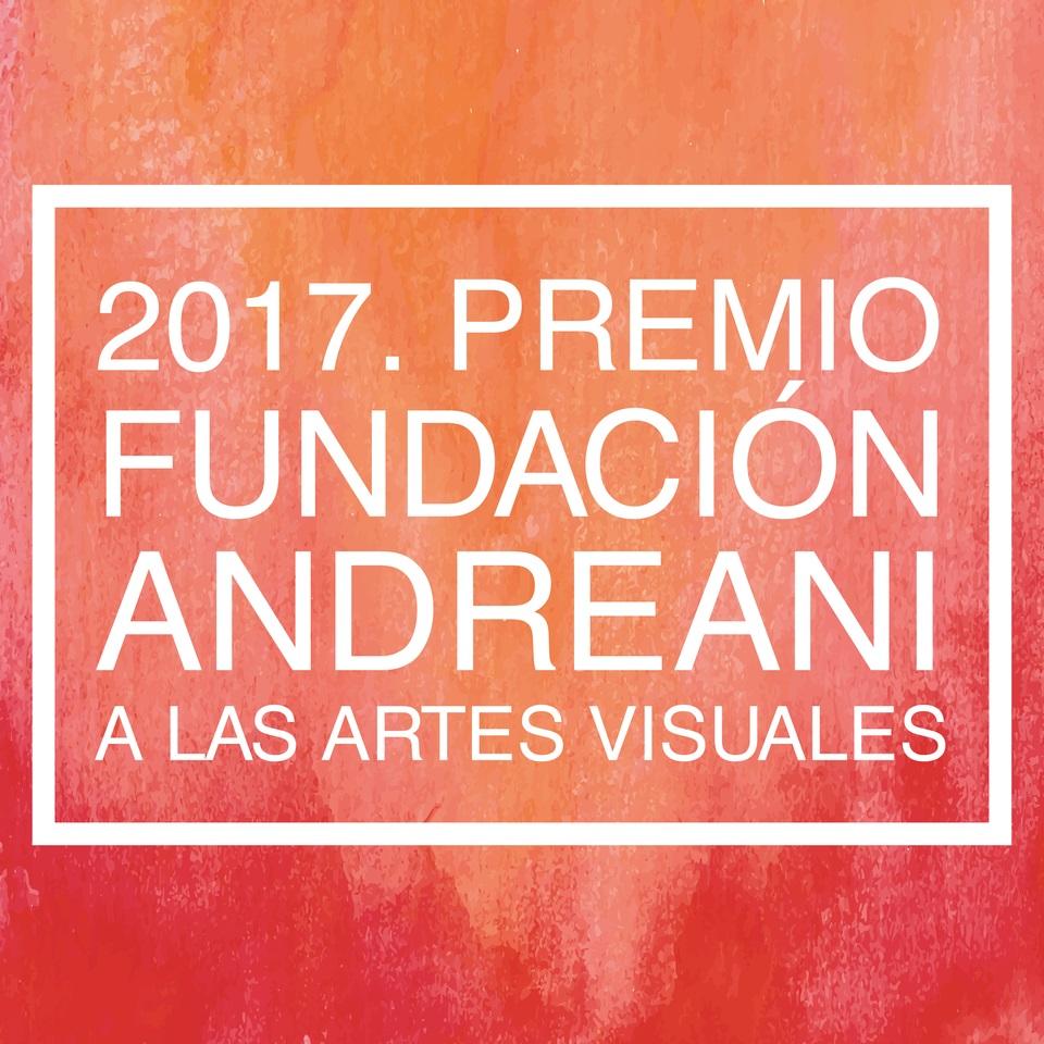 &Uacute;ltimos d&iacute;as para postularse al &#147;Premio Fundaci&oacute;n Andreani 2017 a las Artes Visuales&#148;