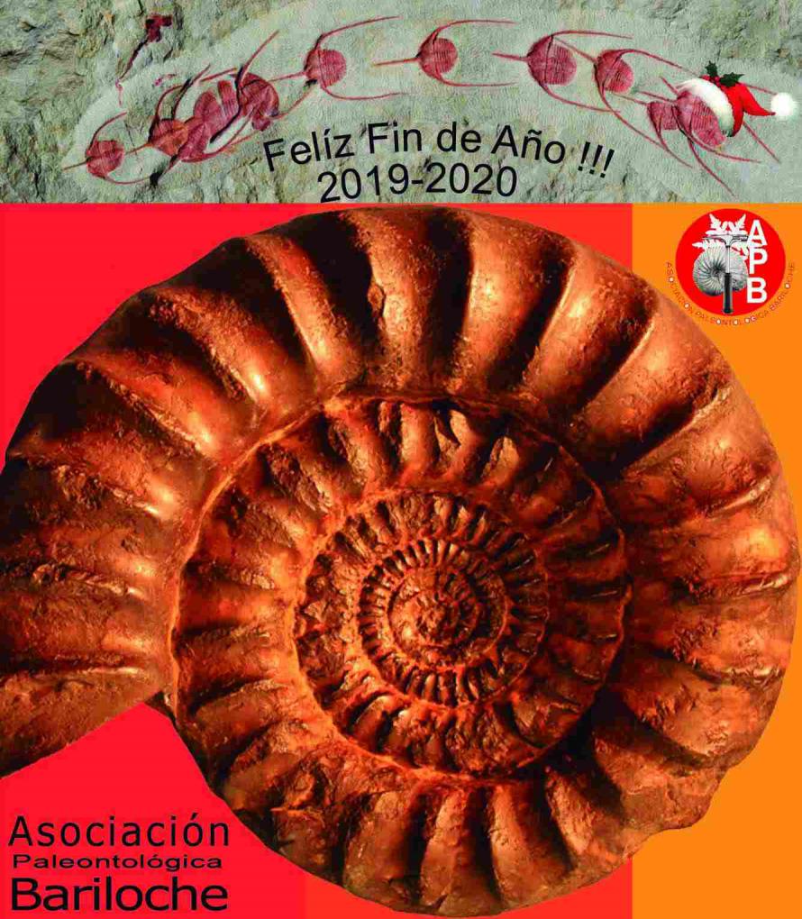 MEMORIA CORRESPONDIENTE AL EJERCICIO 2018- 2019 - Asociaci&oacute;n Paleontol&oacute;gica Bariloche