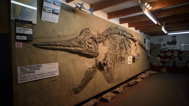 El Museo Paleont&oacute;logico Bariloche sue&ntilde;a con ampliar sus instalaciones