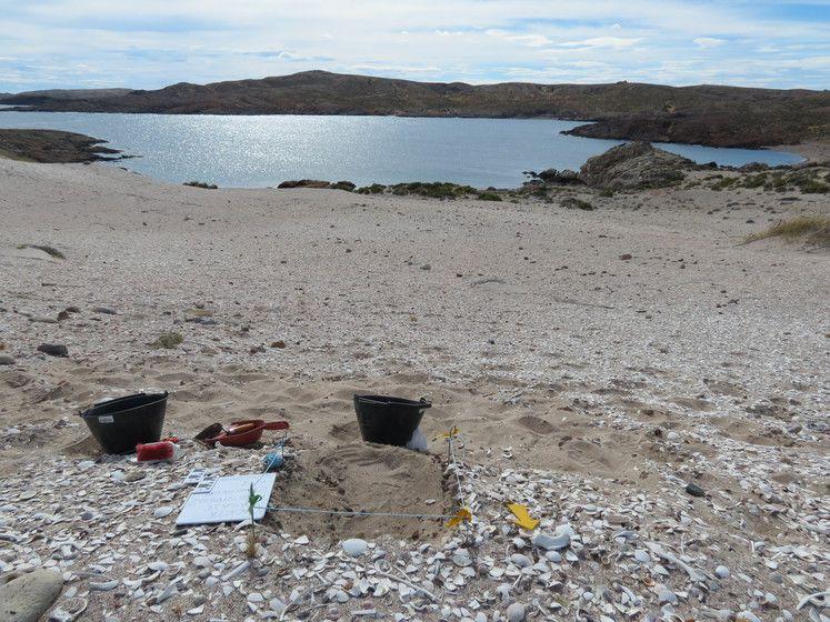 Tras los rastros de los cazadores recolectores que habitaron zonas desconocidas de la Patagonia