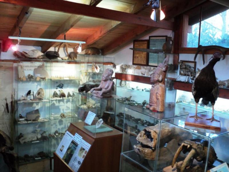 Cierra el Museo de Geolog&iacute;a y Paleontolog&iacute;a del lago Guti&eacute;rrez