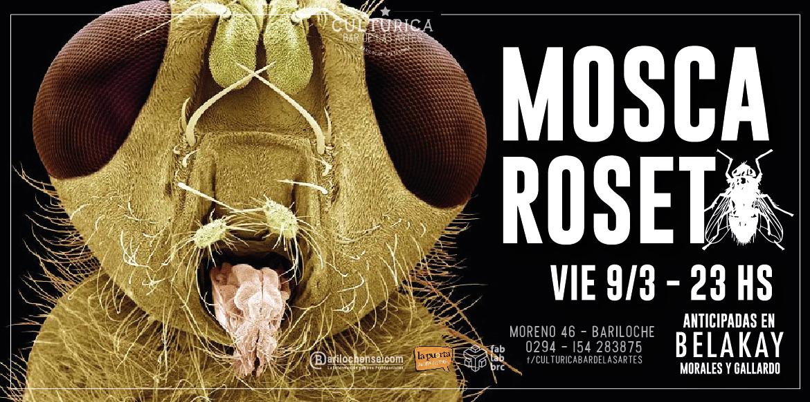 Mosca Roseta en vivo, primer show del a&ntilde;o!