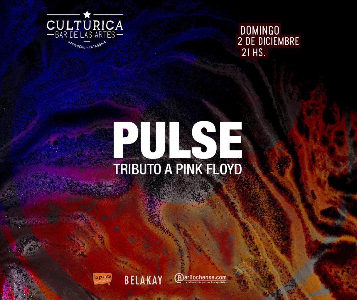 Pulse - Tributo a Pink Floyd