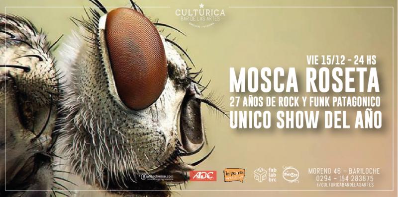 MOSCA ROSETA EN VIVO: 27 a&ntilde;os de aut&eacute;ntico rock funk patag&oacute;nico