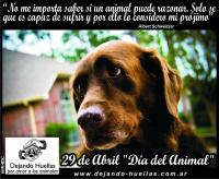 DIA DEL ANIMAL