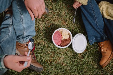 Helados veganos Bariloche