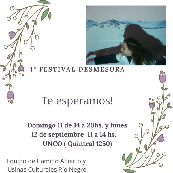 1&deg; Festival Desmesura