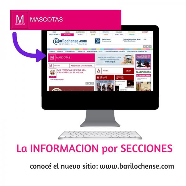 La INFORMACION ordenada por SECCIONES